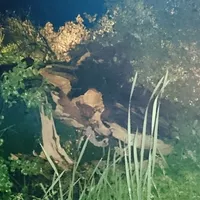 img-20170810-wa0006.jpg
