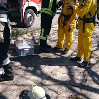 0_ffa_2016_072.jpg