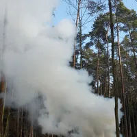 _waldarbeiterfeuer.jpg