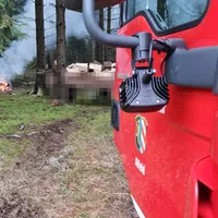 20220105_waldbrand_k.jpg