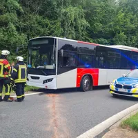 Bus_2.jpg
