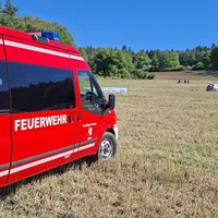 Stoppelfeld_2.jpg