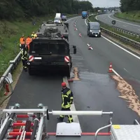 a6_elefant_1.jpg