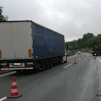 a6_elefant_4.jpg